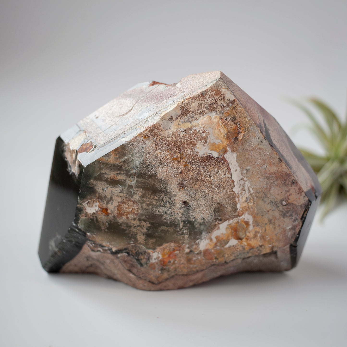 XL Smoky Quartz Lodolite Tower