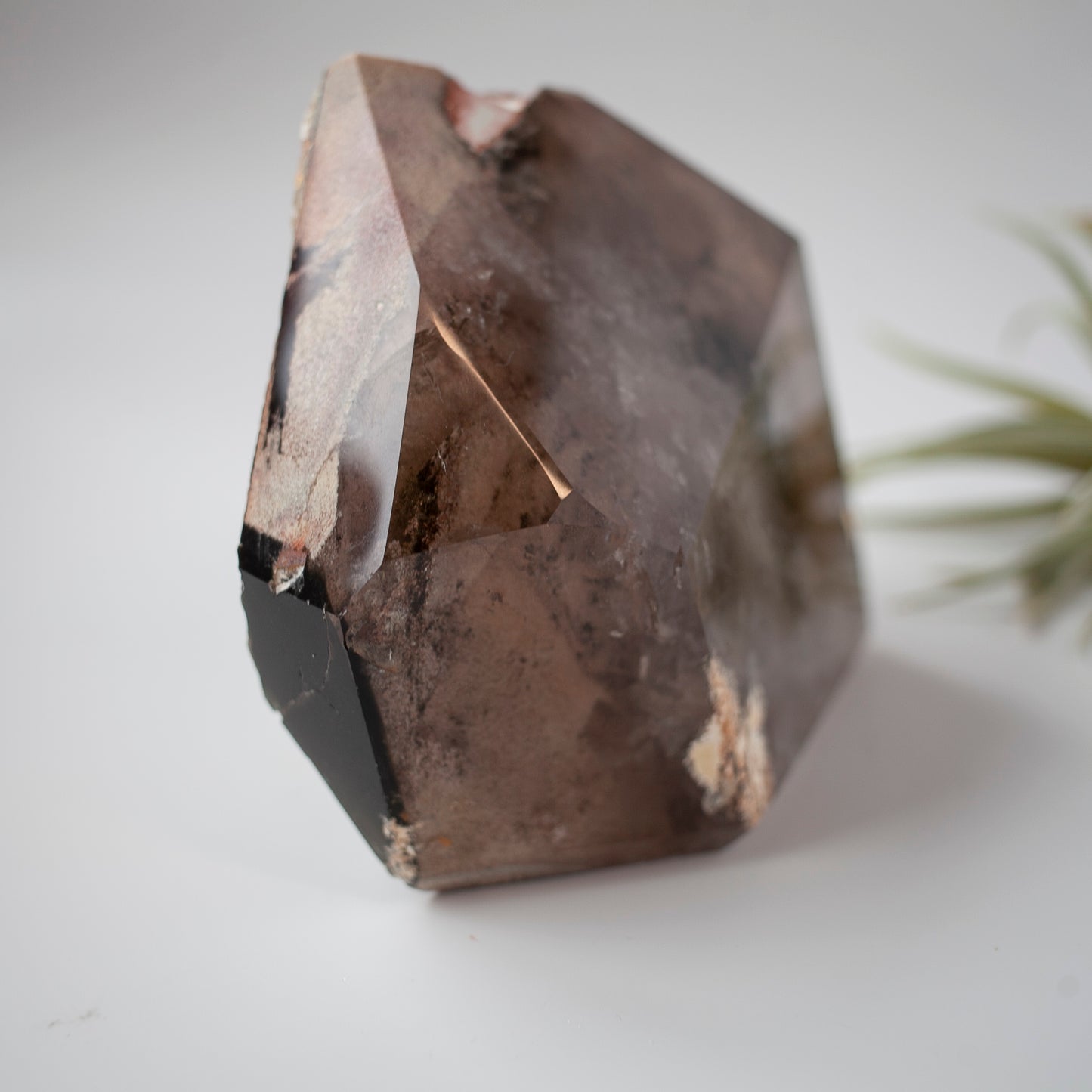 XL Smoky Quartz Lodolite Tower