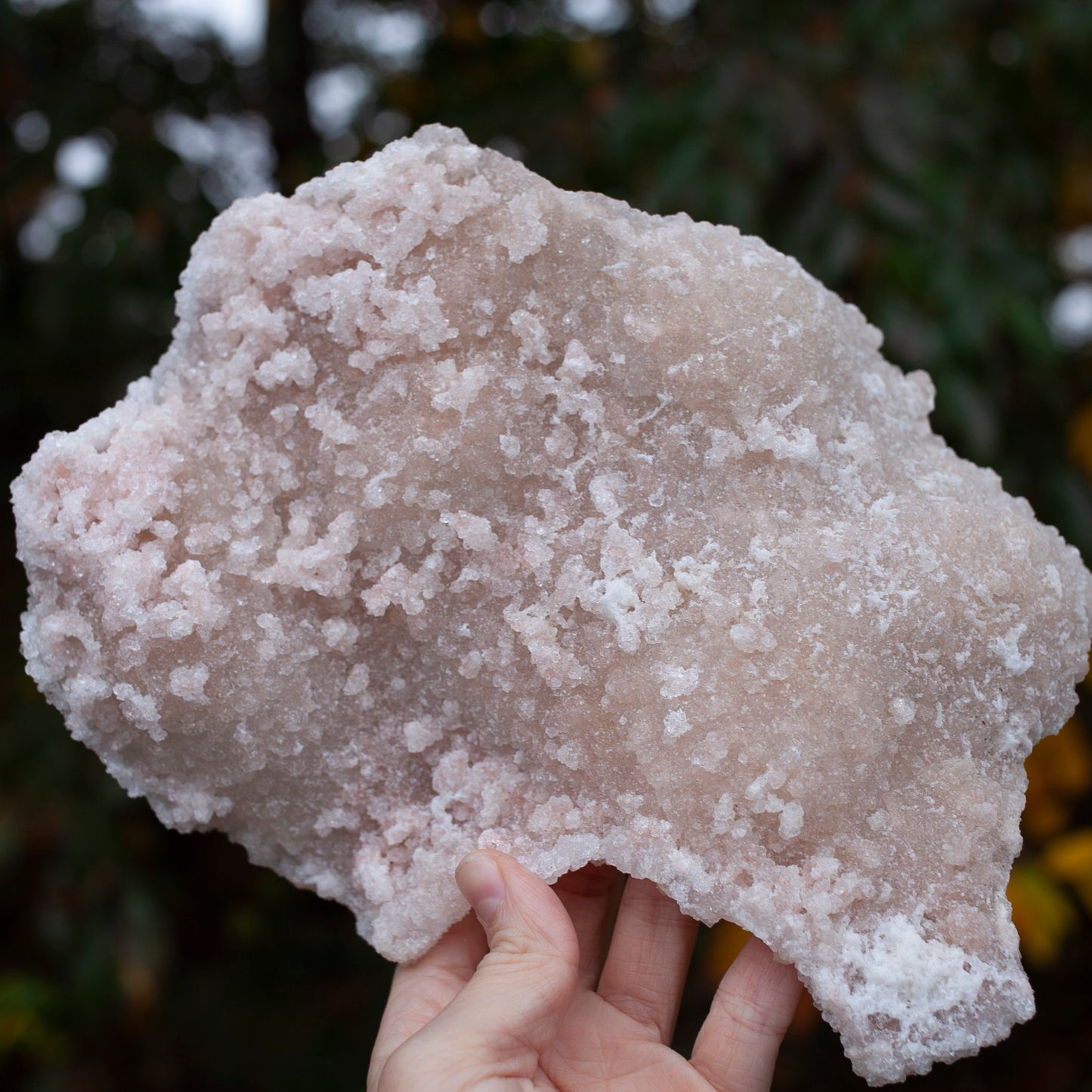 Beautiful Pink Apophyllite Plate with Stilbite