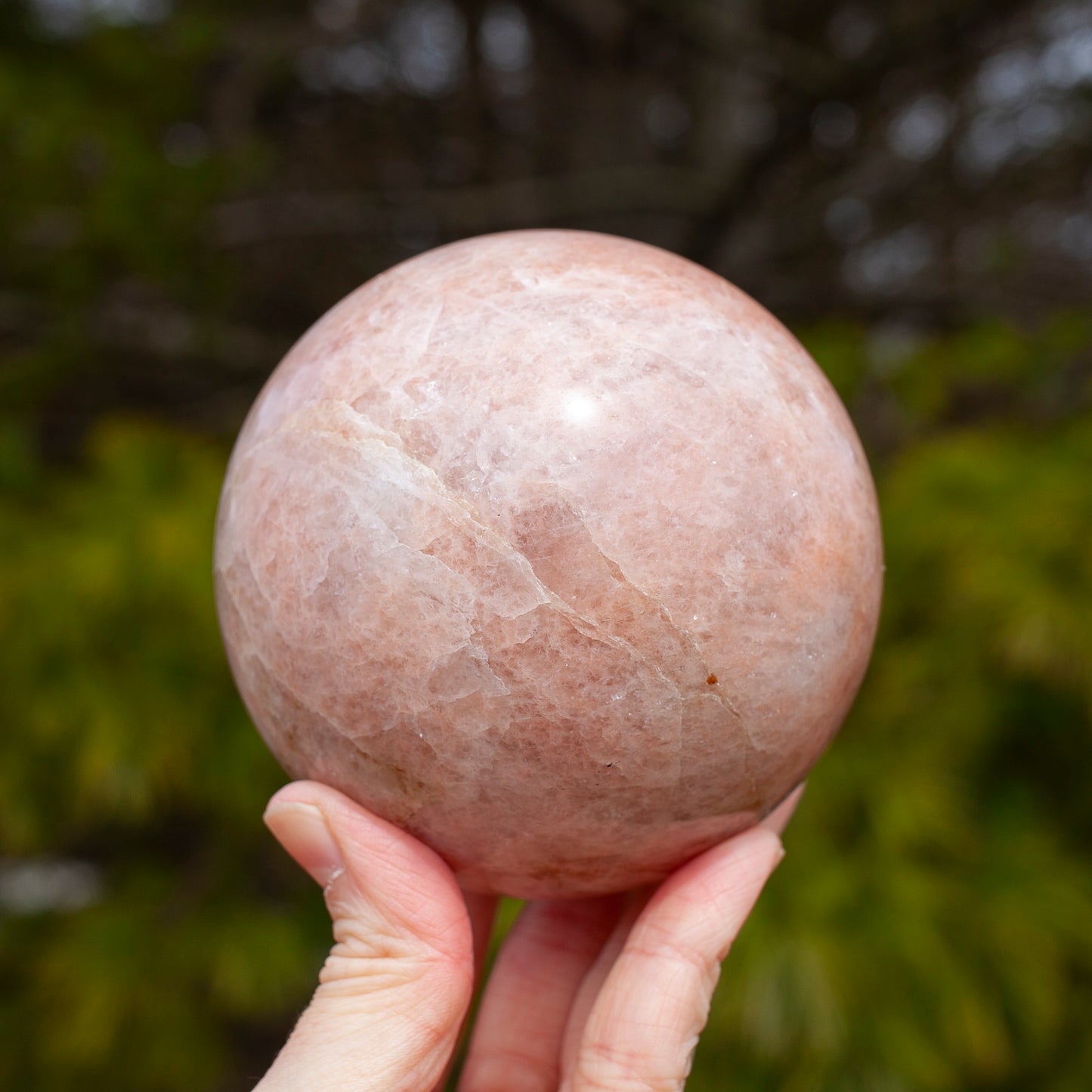 Strawberry Quartz Sphere, Blush Pink, 3.5in