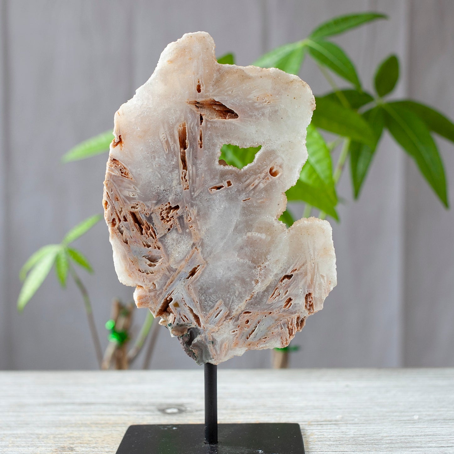 Pink Anhydrite on Stand, Quartz After Anhydrite
