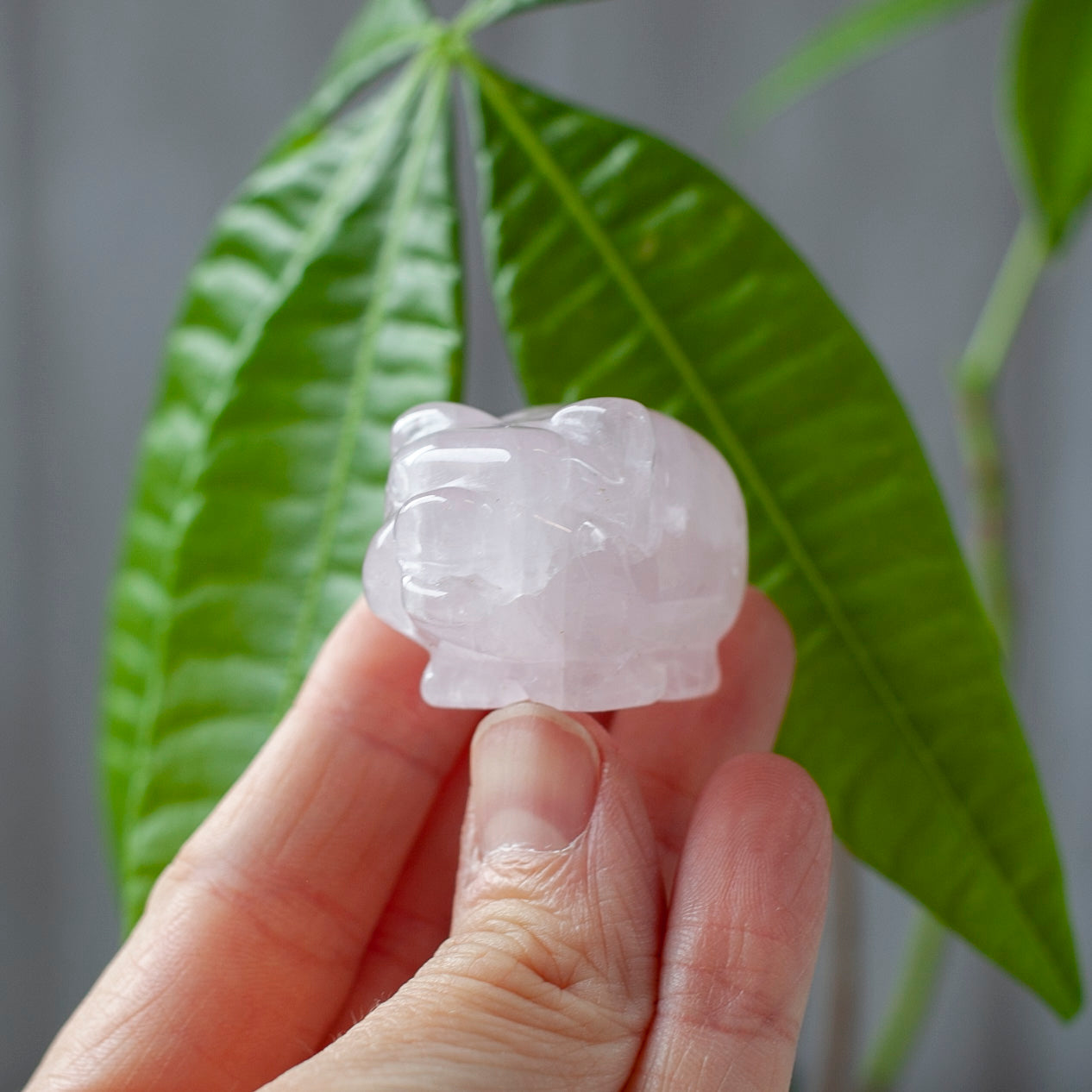 Rose Quartz Pig Spirit Animal