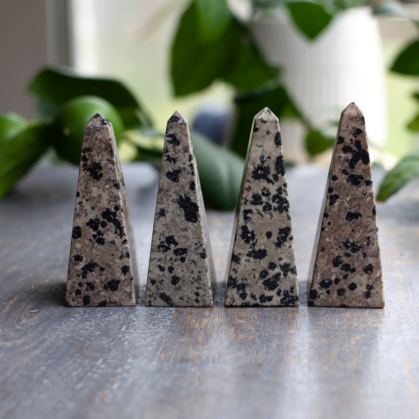 Dalmatian Jasper Obelisk
