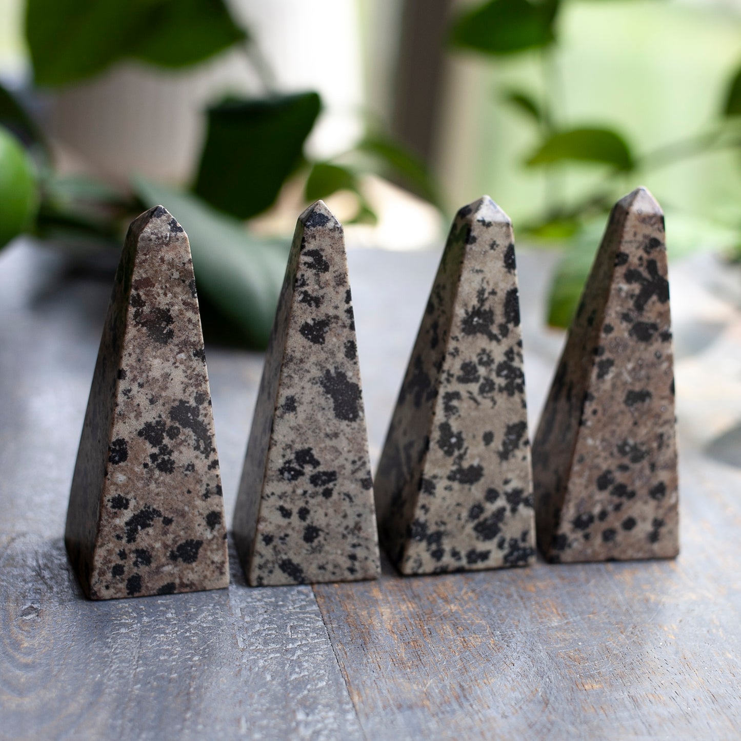 Dalmatian Jasper Obelisk