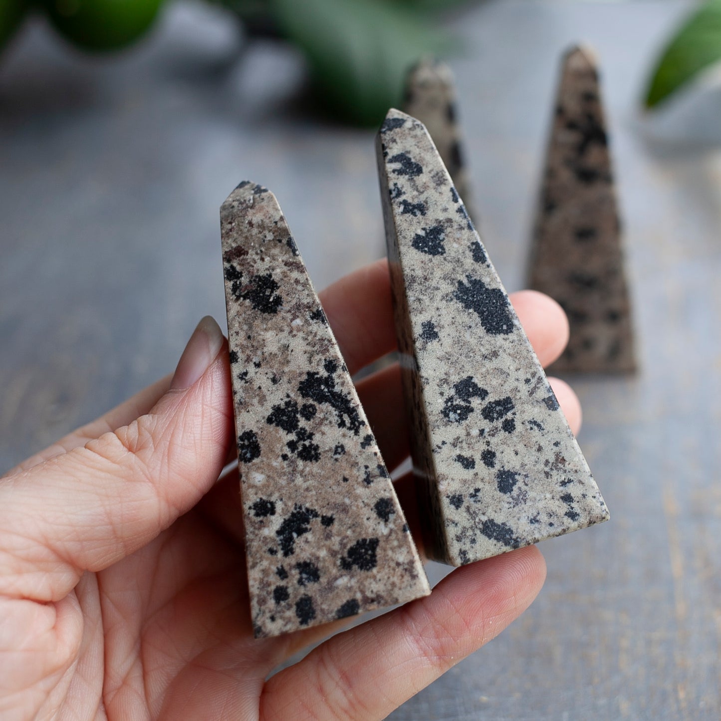 Dalmatian Jasper Obelisk