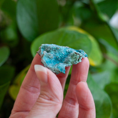 Select Stone Set No. 2: Aurichalcite, Phoenix Stone, Ethiopian Opal, Jadeite
