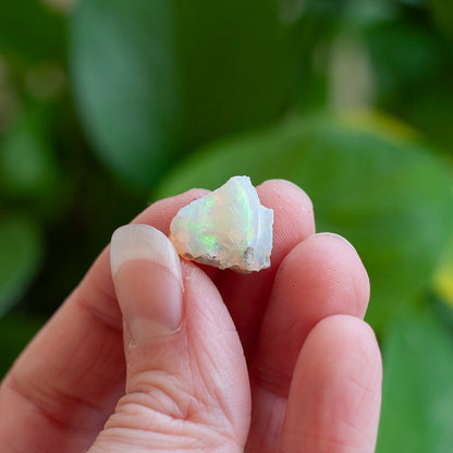 Select Stone Set No. 2: Aurichalcite, Phoenix Stone, Ethiopian Opal, Jadeite