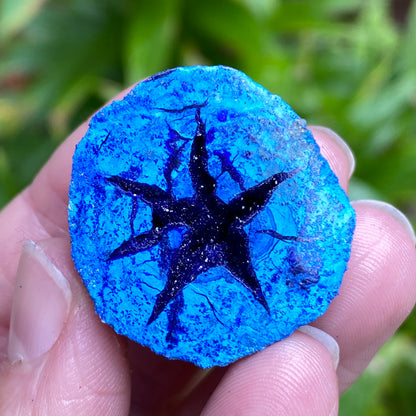Azurite Geode, Star