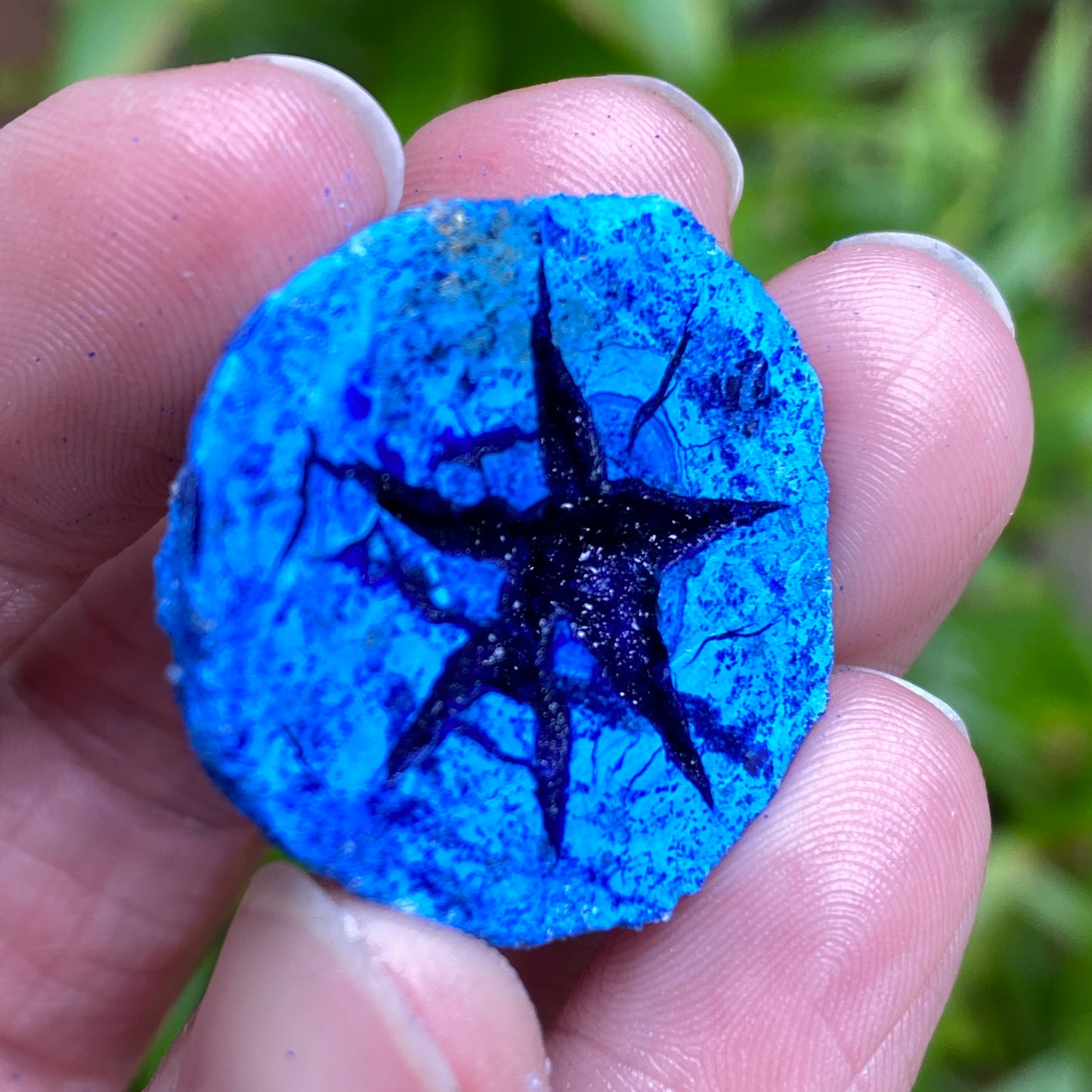 Azurite Geode, Star