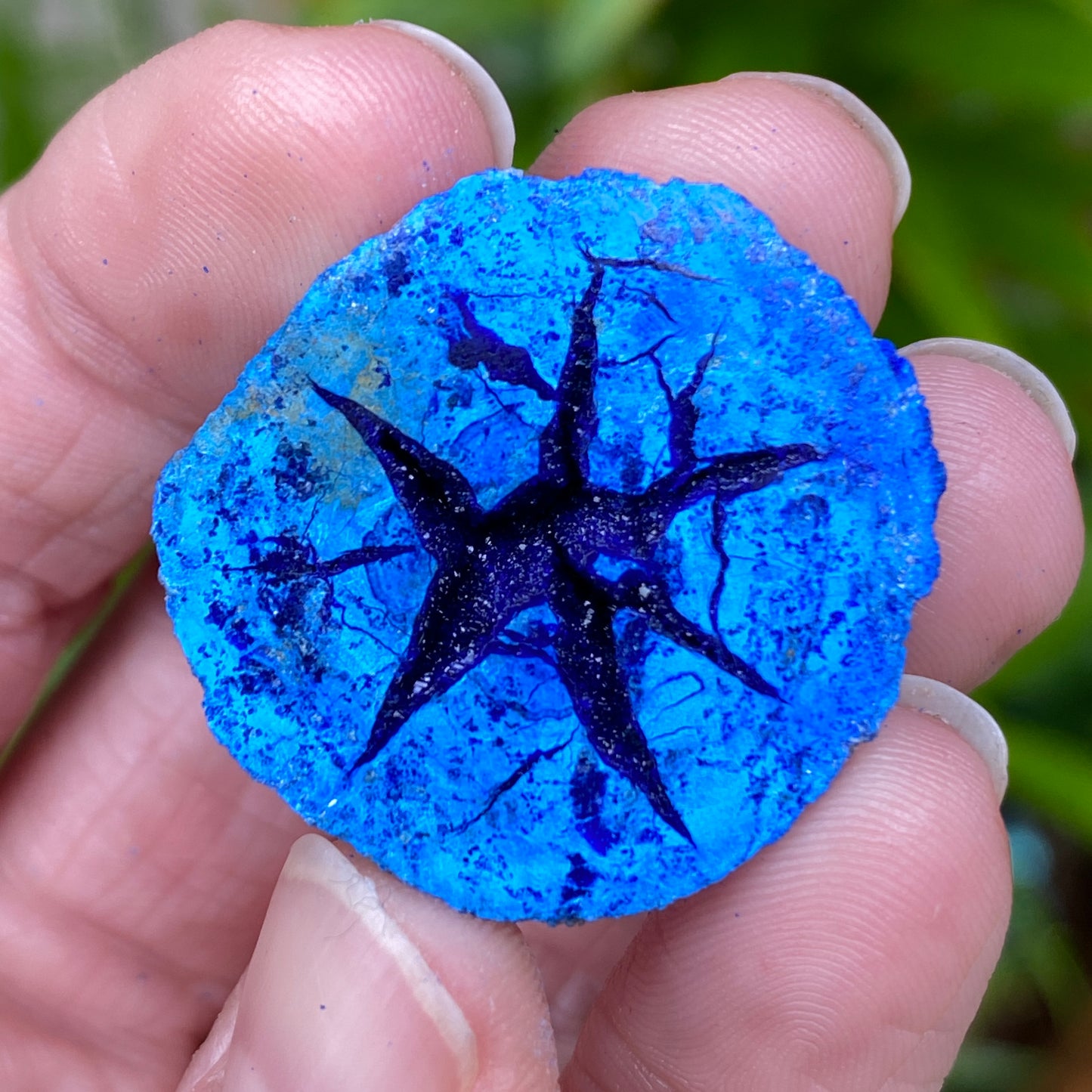 Azurite Geode, Star
