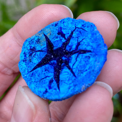 Azurite Geode, Star