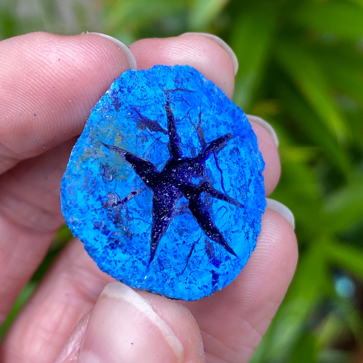 Azurite Geode, Star