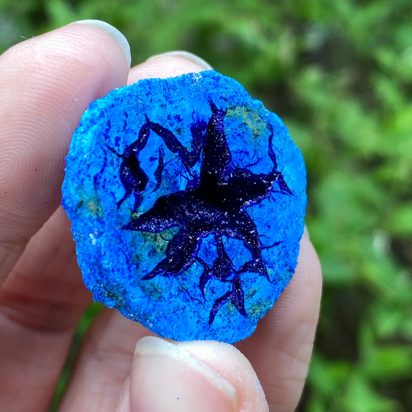 Azurite Geode, Star