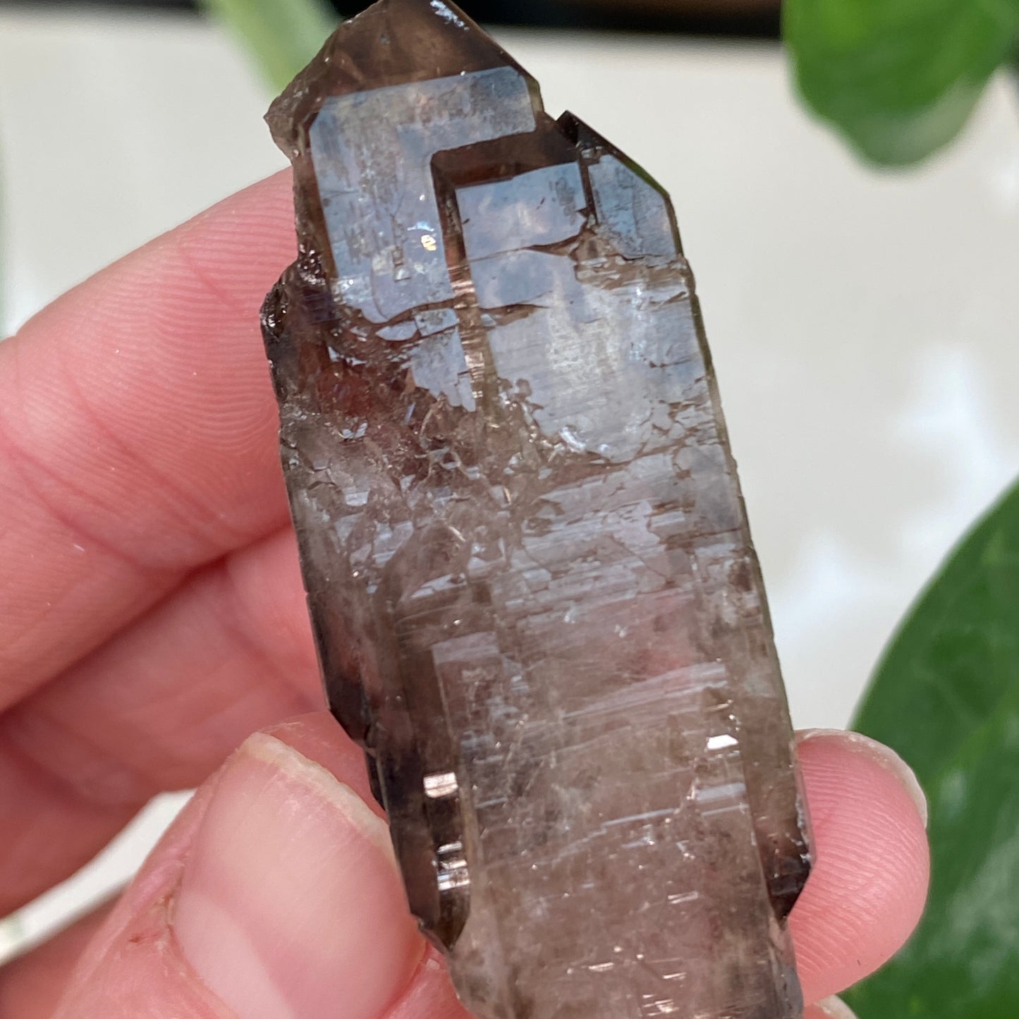 Smoky Quartz, Tabby, Double Terminated