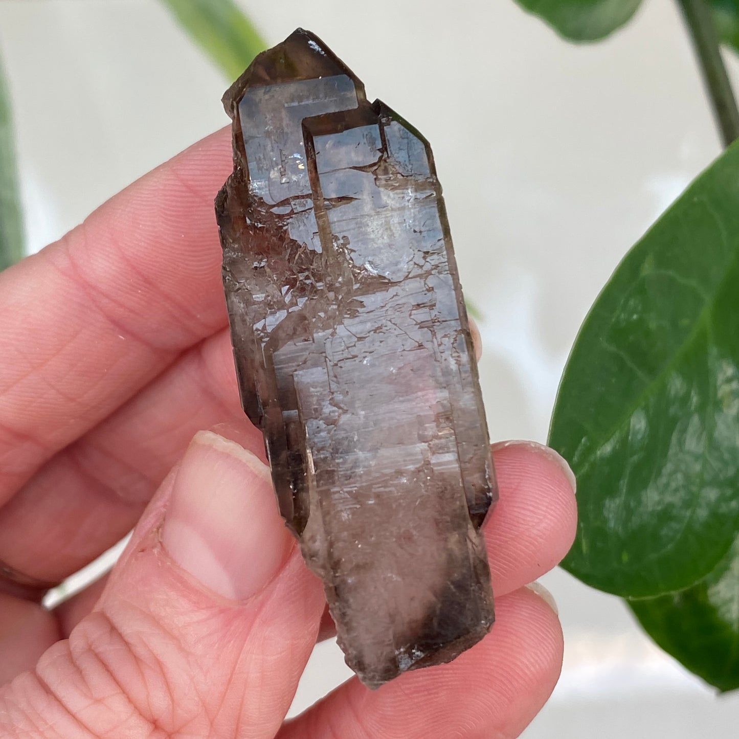 Smoky Quartz, Tabby, Double Terminated
