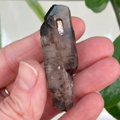 Smoky Quartz, Tabby, Double Terminated
