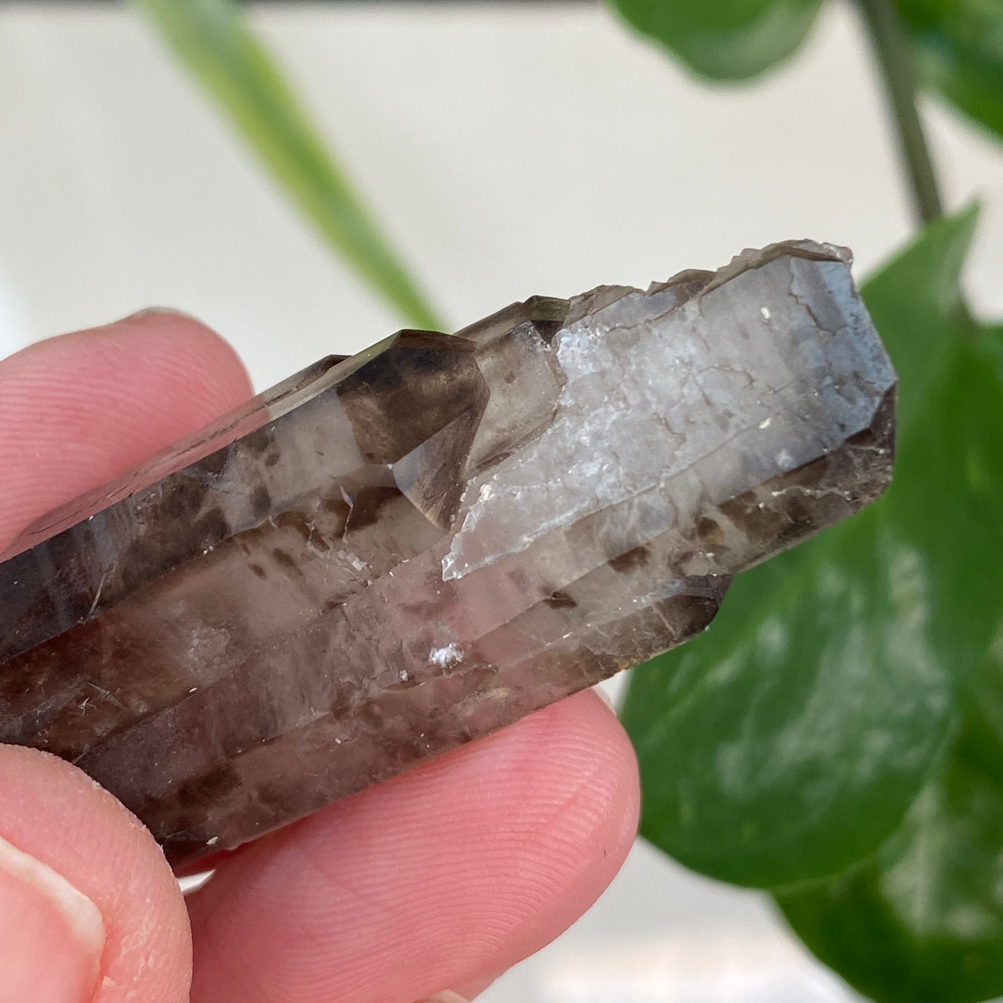 Smoky Quartz, Tabby, Double Terminated