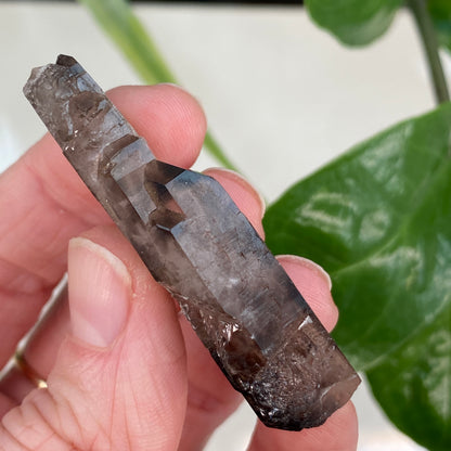 Smoky Quartz, Tabby, Double Terminated