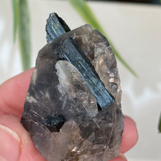 Aegirine, Smoky Quartz