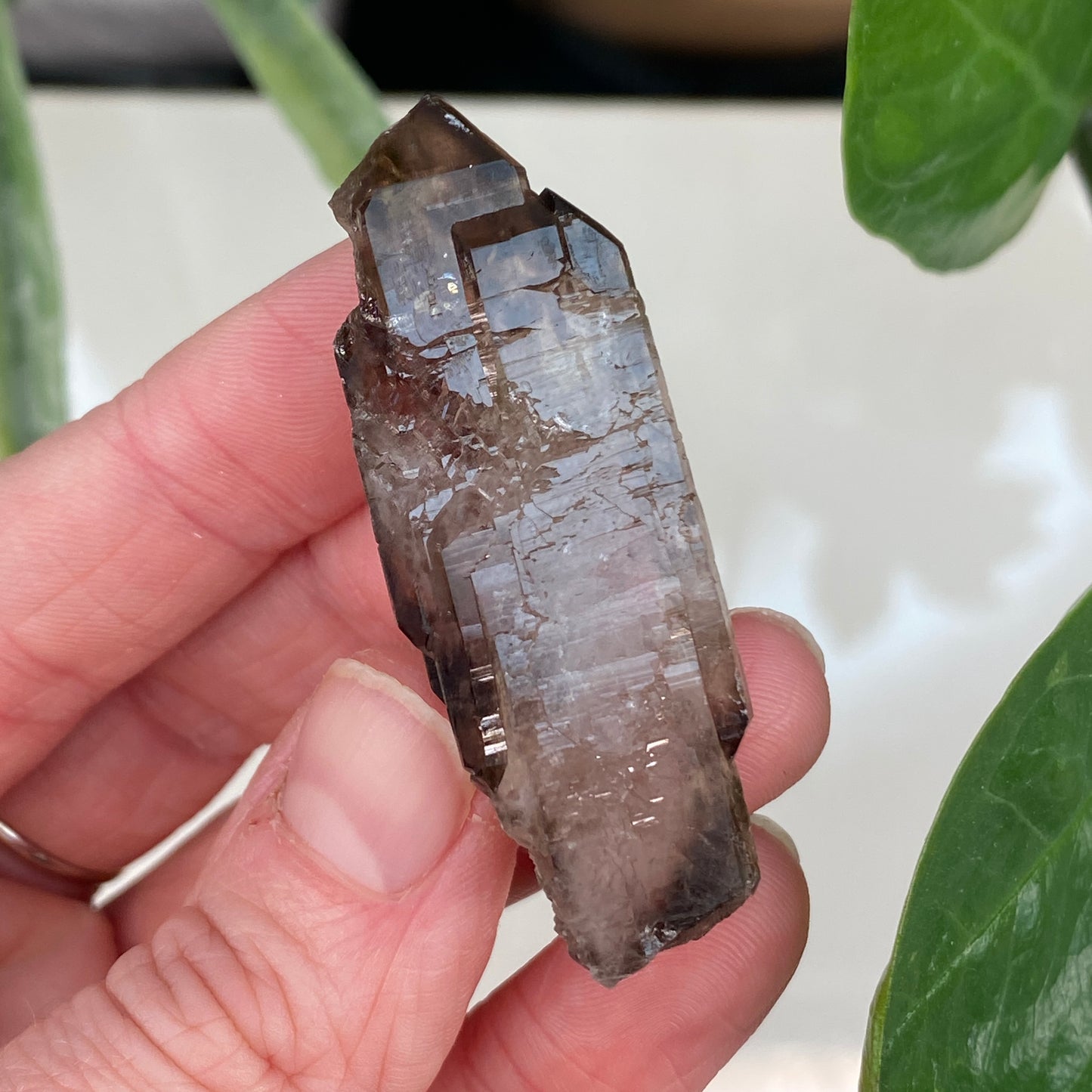Smoky Quartz, Tabby, Double Terminated
