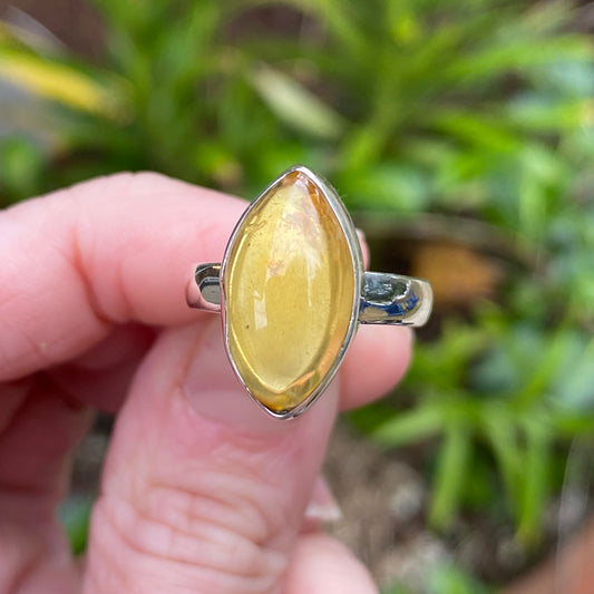 Baltic Amber RIng, Size 6.5