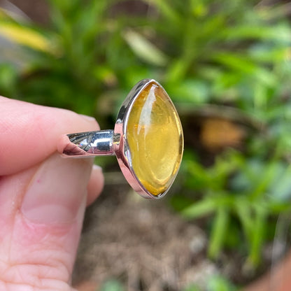 Baltic Amber RIng, Size 6.5