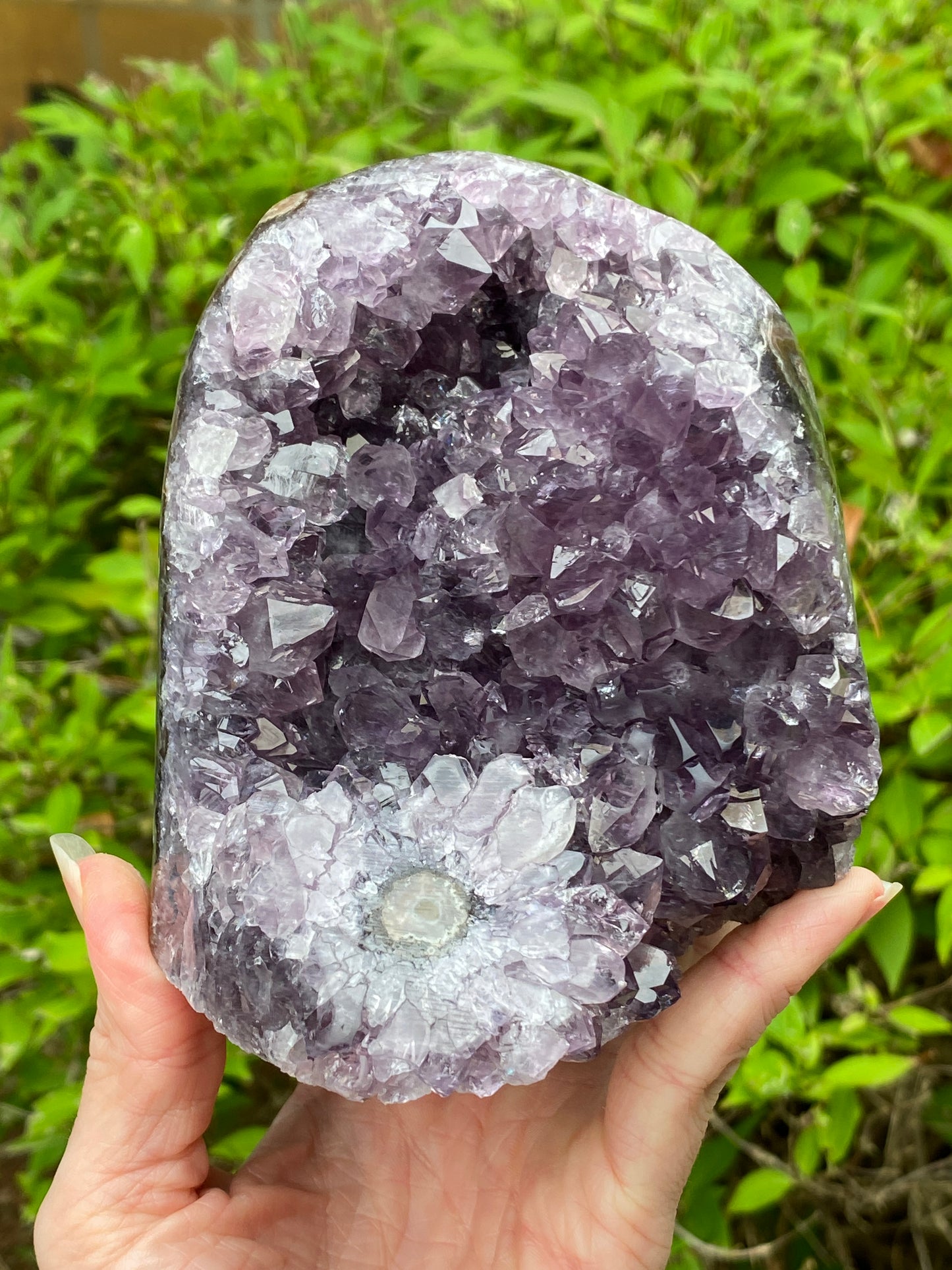 Amethyst Cutbase Geode with stalactite