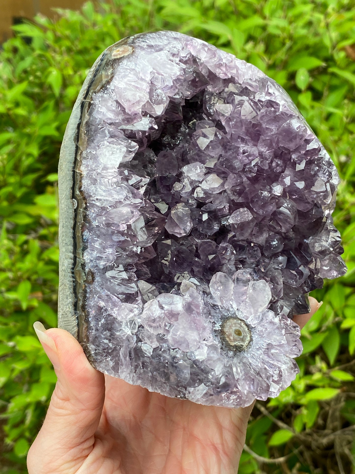 Amethyst Cutbase Geode with stalactite