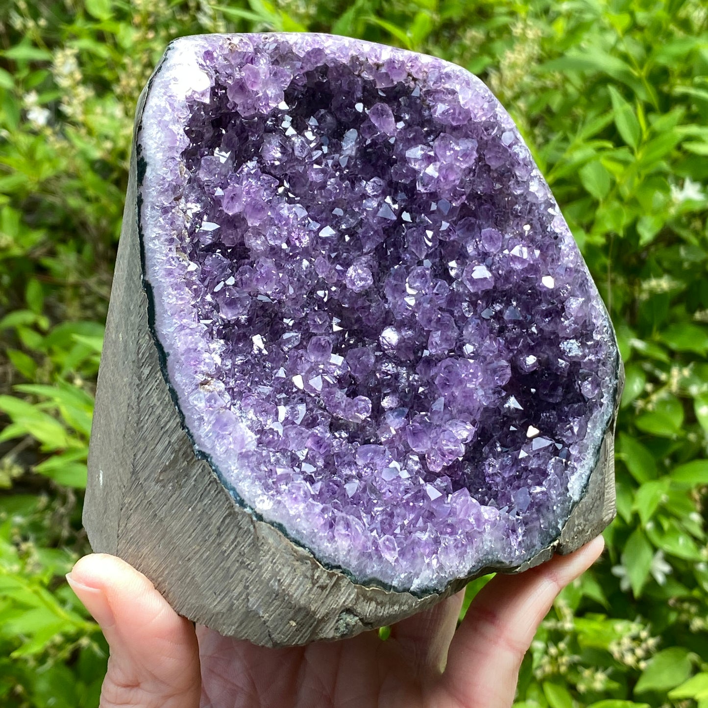Amethyst Geode, 3lb