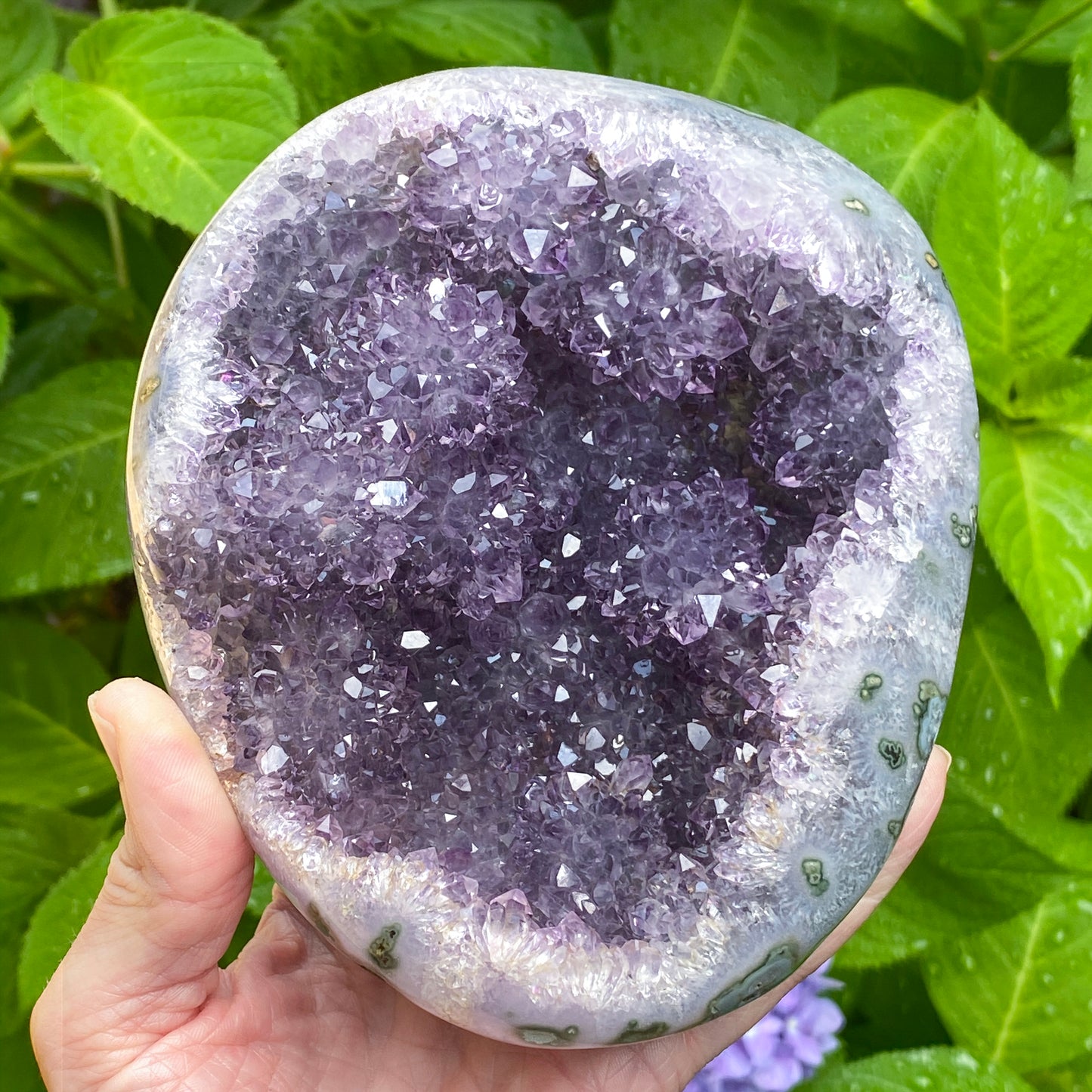 Amethyst Showpiece, Uruguay