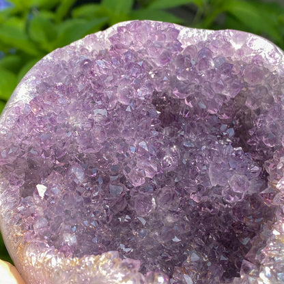 Amethyst Showpiece, Uruguay