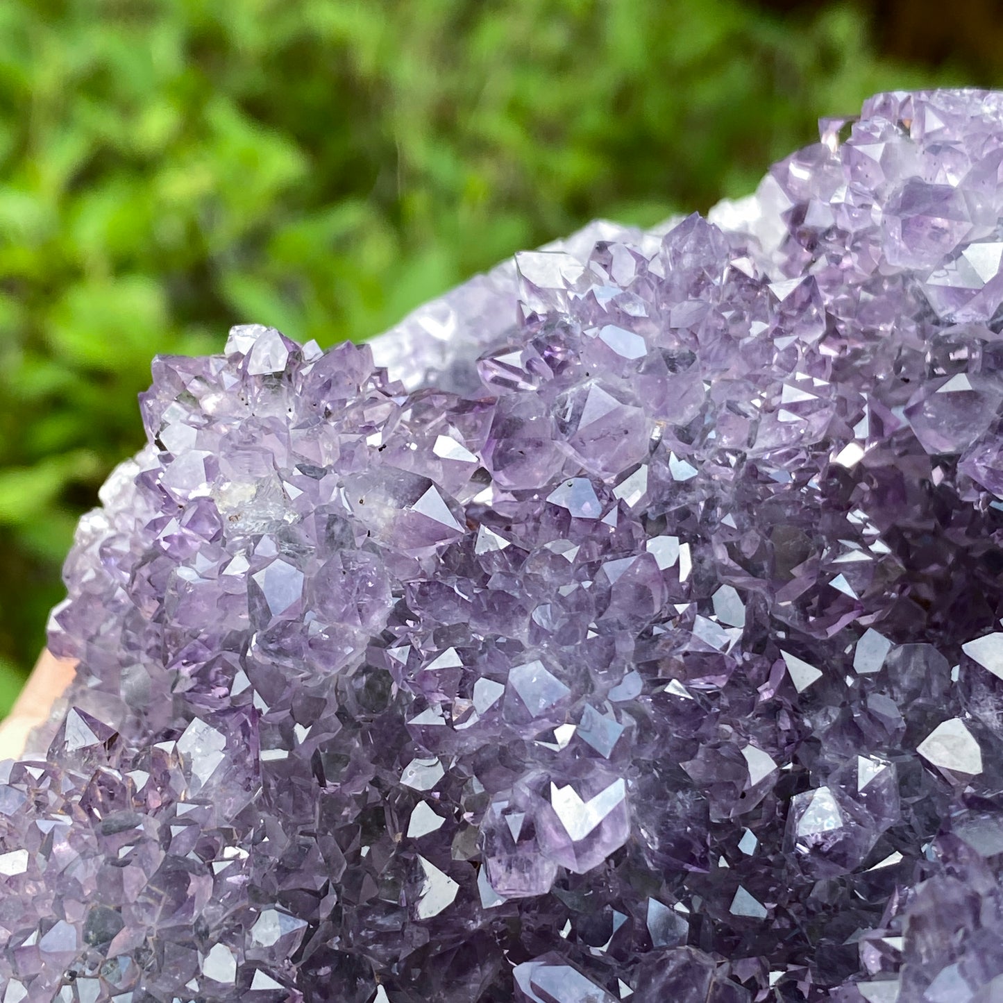 Amethyst Showpiece, Uruguay