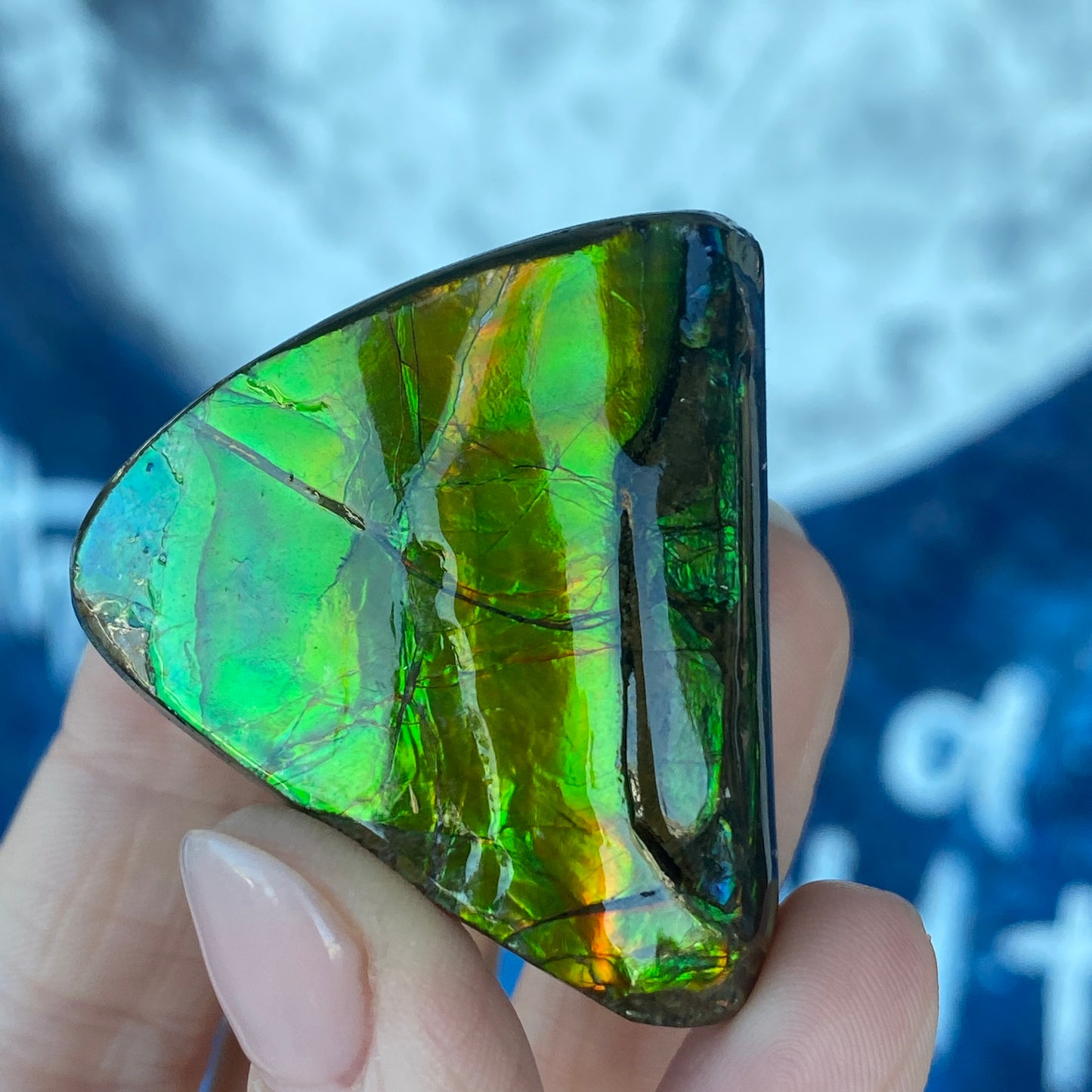 Ammolite Freeform