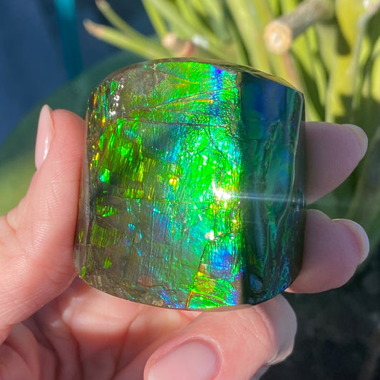 Ammolite Palm Stone