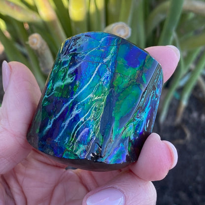 Ammolite Palm Stone