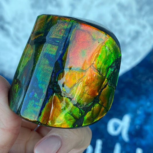 Ammolite Freeform