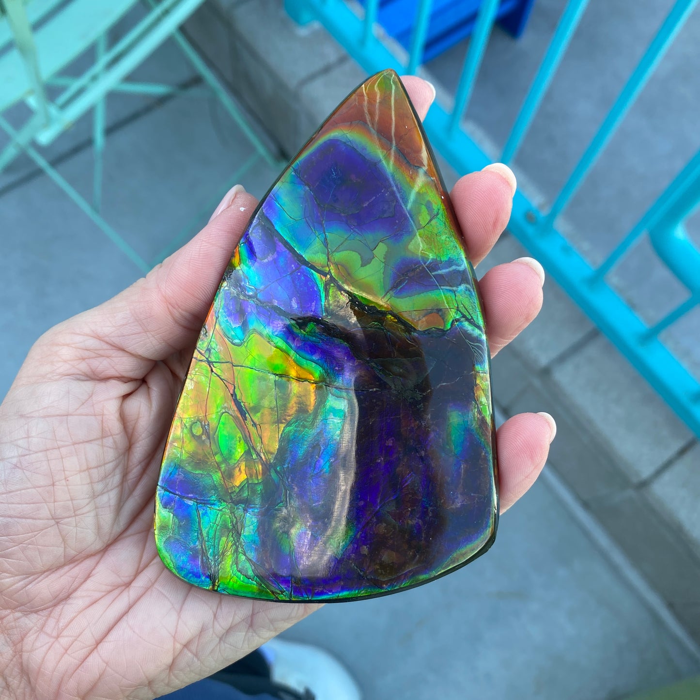 Ammolite Palm Stone, Large Full Rainbow