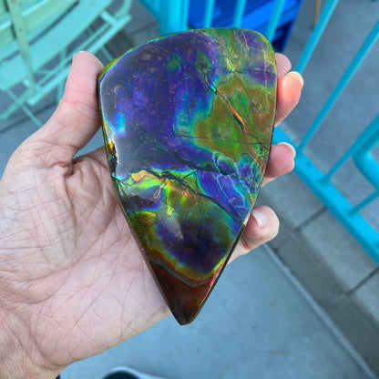 Ammolite Palm Stone, Large Full Rainbow