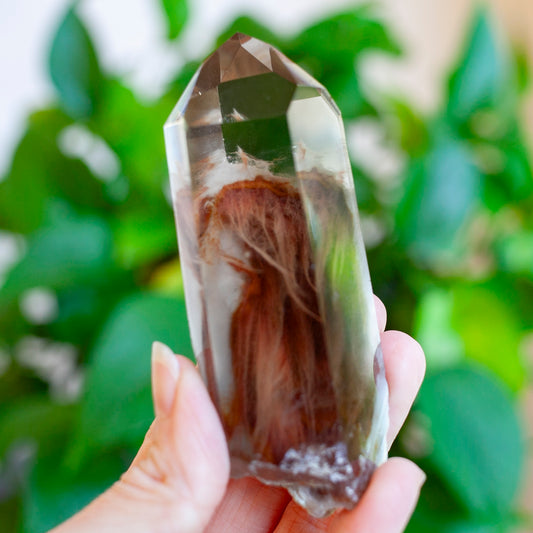 Amphibole Quartz Point Specimen, Bahia Brazil