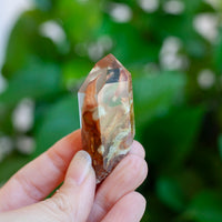 Amphibole Quartz Point Specimen, Bahia Brazil