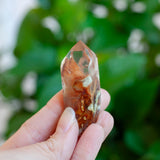 Amphibole Quartz Point Specimen, Bahia Brazil
