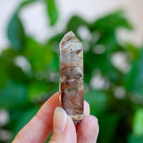 Amphibole Quartz Point Specimen, Bahia Brazil