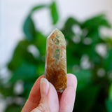 Amphibole Quartz Point Specimen, Bahia Brazil