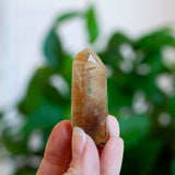 Amphibole Quartz Point Specimen, Bahia Brazil