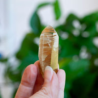 Amphibole Quartz Point Specimen, Bahia Brazil
