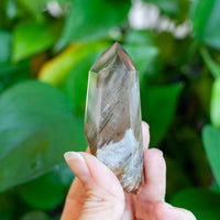 Amphibole Quartz Point Specimen, Bahia Brazil