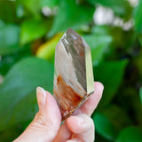 Amphibole Quartz Point Specimen, Bahia Brazil