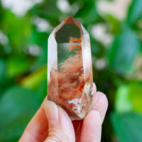 Amphibole Quartz Point Specimen, Bahia Brazil