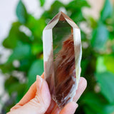 Amphibole Quartz Point Specimen, Bahia Brazil