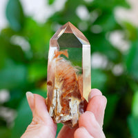 Amphibole Quartz Point Specimen, Bahia Brazil